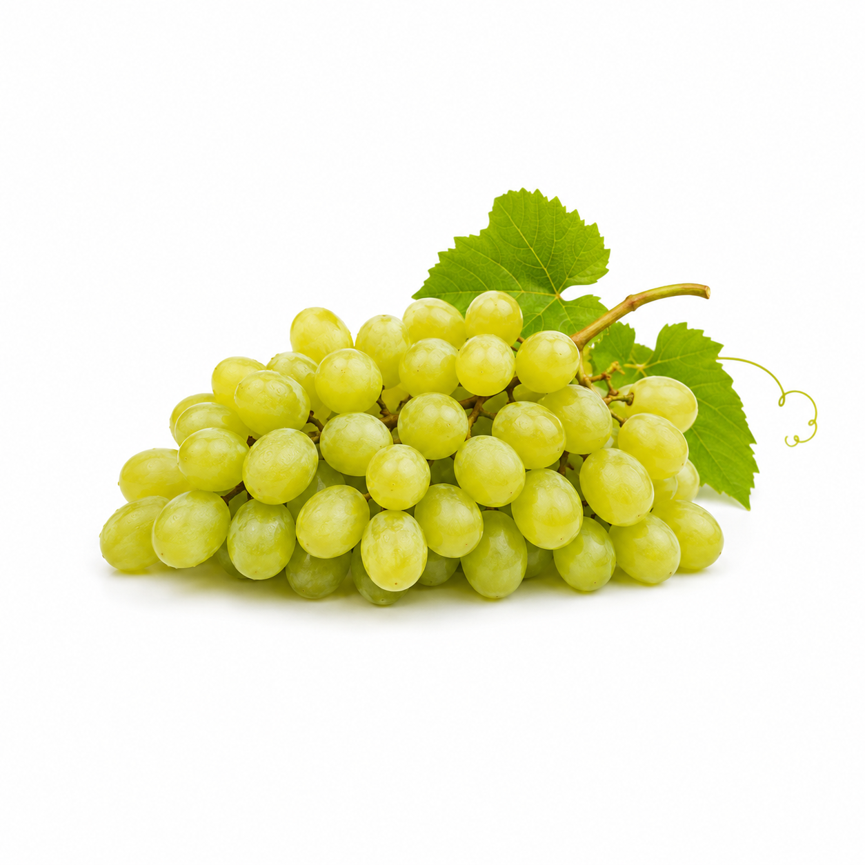 Struguri Albi Italia